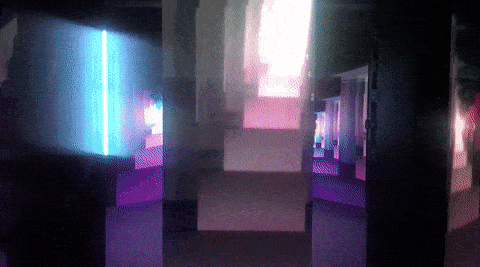 image5.gif